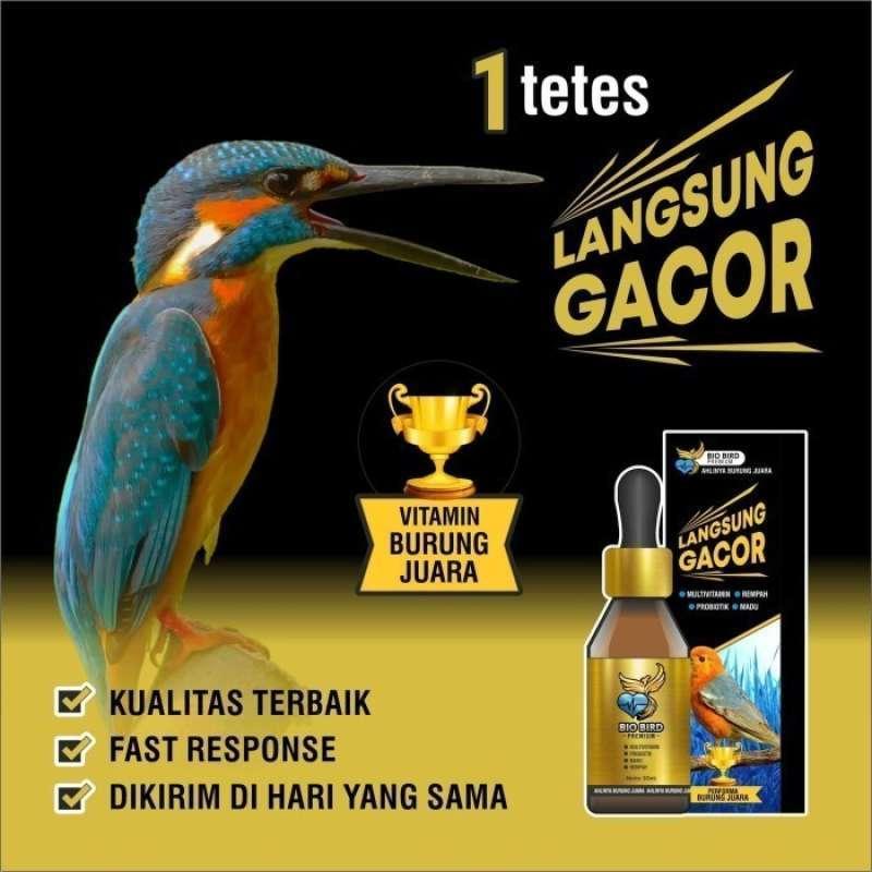 Agen Gacor Bagus: Tempat Terbaik untuk Mencari Burung Berkualitas